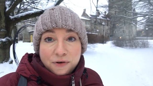 Первые впечатления от учебы в эстонском ПТУ после переезда в Эстонию. Розовые очки или счастье? смотреть онлайн