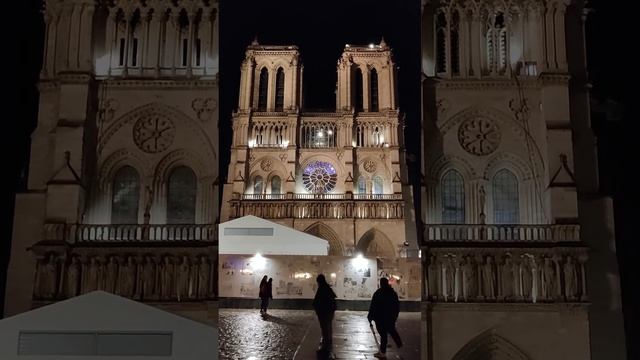 СОБОР ПАРИЖСКОЙ БОГОМАТЕРИ или НОТР-ДАМ-де-ПАРИ (Notre-Dame de Paris, Paris, France) #Shorts