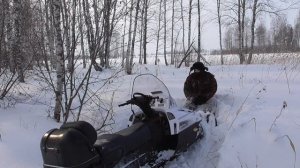 ВСТРЯЛ тайга варяг 550 ОДИН В ЛЕСУ чуть не прилип новое видео