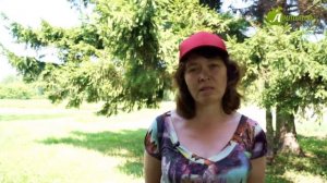 Как вырастить урожайный картофель: советы Татьяны Штайнерт