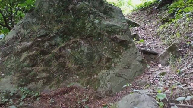 Горная АДЖАРИЯ: Все выше и выше В ГОРЫ | Водопад, Мельница, Налиа: Грузия МАХУНЦЕТИ Батуми #WithMe