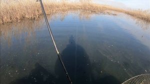 Щука на снасточку