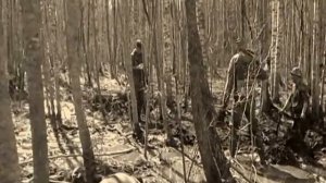 Мясной Бор 2013