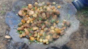 Жарим картошку с мясом на садже + шурпа
