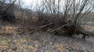 Приток воды в Симферопольское водохранилище. Река Салгир. Усадьба Кесслера-Ферсмана