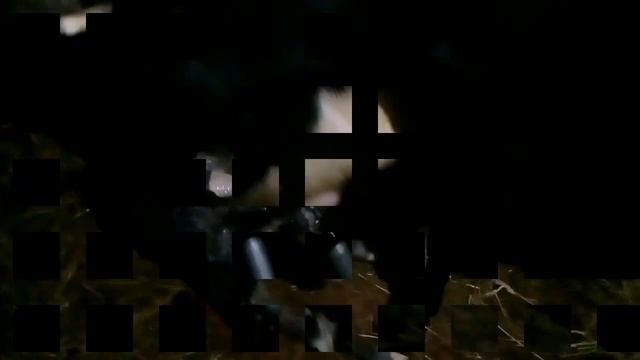 отел коровы онлайн смотреть онлайн