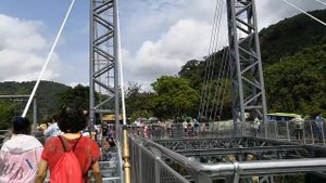 Стеклянный мост в джунглях Янода Хайнань Лучшая экскурсия