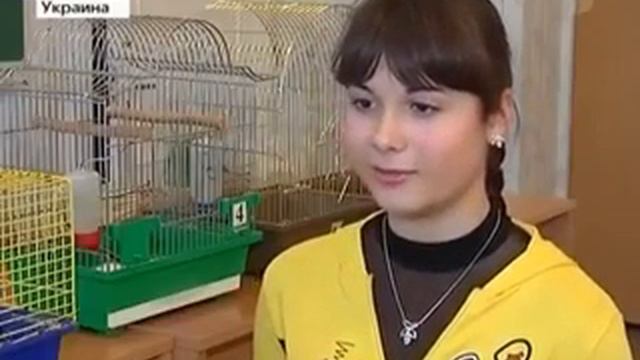 Не ешьте чипсы и кирьешки смотреть онлайн