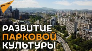 Новая жизнь парков Тбилиси: как в столице развивают рекреационные зоны