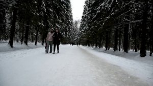 Павловск зимой. Как доехать. Зимние развлечения в Павловске