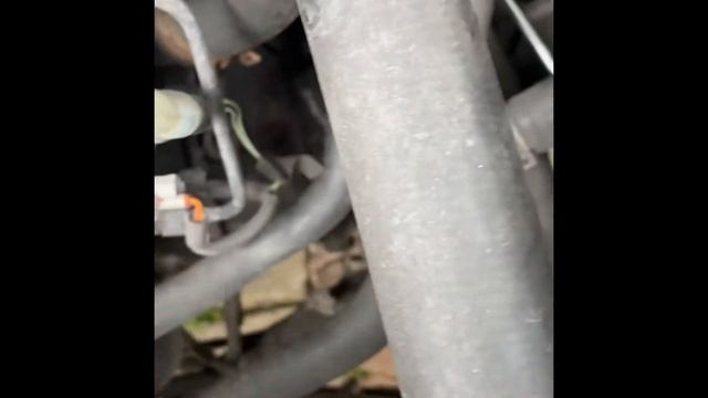 Transit mk7 New gear cables (piglet)￼ смотреть онлайн