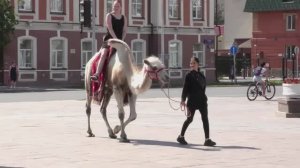 Аттракционы на цветном бульваре в Тюмени. mp4