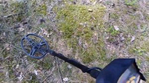 Коп 2021 в лесу Беларуси | ОБАЛДЕТЬ! КАК ТАКОЕ ВОЗМОЖНО! |  Коп монет в Беларуси 2021