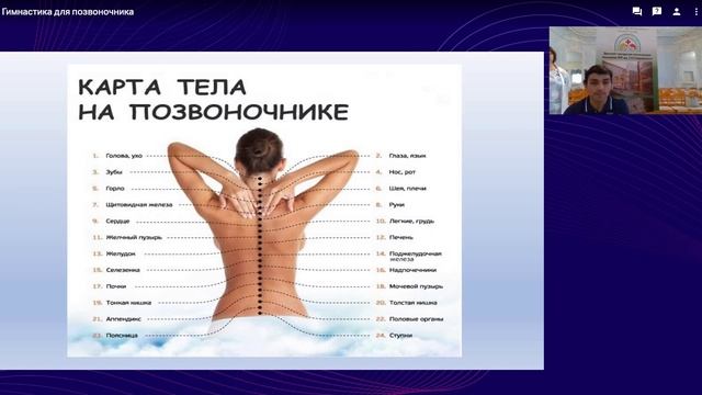 Гимнастика для позвоночника