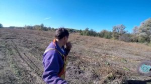 #Т40 с #дисковой бороной. #Дискование (лушение) участков/Disking (peeling) fields