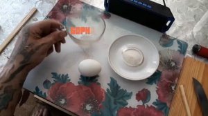 Как избавиться от мух и муравьёв в доме самодельными средствами