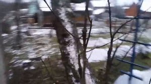 Обрезка яблонь зимой на даче. Как омолодить яблони.