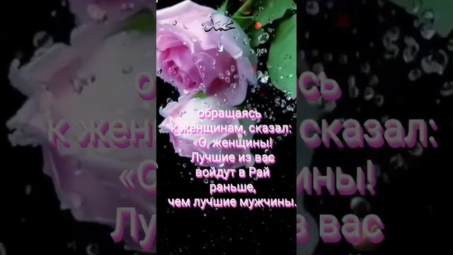 Мухаммад ﷺ , сказал: «О, женщины! Лучшие из вас войдут в Рай раньше, чем лучшие мужчины. смотреть онлайн