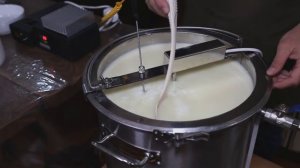 Сыр Грюйер. Сладкий, слегка солоноватый швейцарский твердый сыр