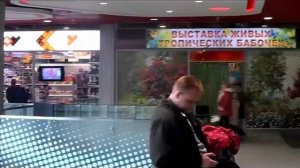 ТЦ "Красный Кит" Мытищи