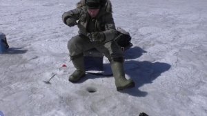 Ловим окуня. Глубина 8 метров