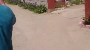 с. Безыменное боевики рассказывают, как отжать дом