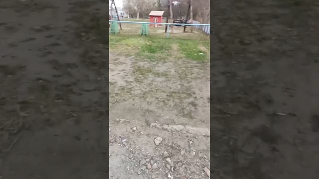 Жителей и студентов общежитий КГСХА выселяют из помещений Live 2