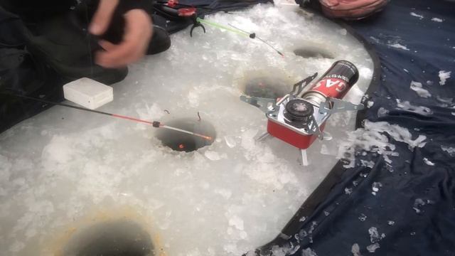 РЫБНОЕ АСОРТИ!Зимняя рыбалка !!!#рыбалка #рыбалка2022 #таранка #нальду #палатка смотреть онлайн