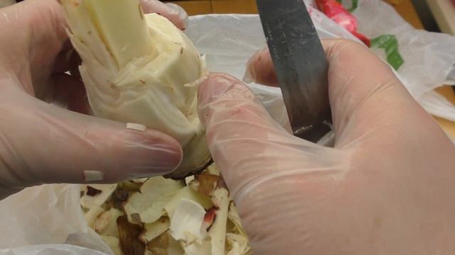 Сильное поражение луковицы стагоноспорозом - лечение смотреть онлайн