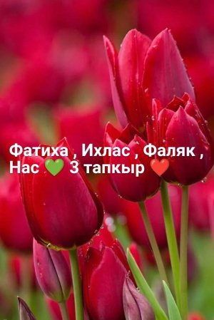 Quran ❤️ Фатиха Ихлас Фаляк Нас 💚 Татар Макамы ❤️