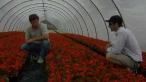 Lancaster Farms: Week 16: Annuals with Johnny Patterson