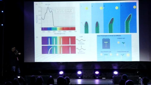 Фотоморфогенез | Николай Горшкофф | GORSHKOFF.RU | СитиФермер 2020 смотреть онлайн