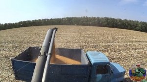 Быстрая выгрузка бункера кукурузы ДОН-1500Б!