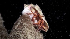 4K Музыка   Красивый ОКЕАН, Шикарная Музыка !!! НОВИНКА