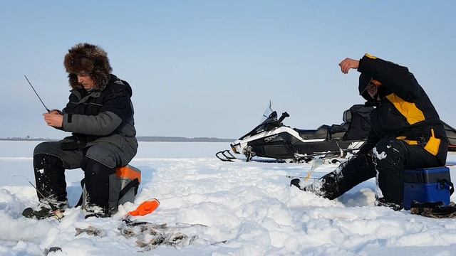 Ничего себе, живцы попадались! Зимняя рыбалка 2020 смотреть онлайн