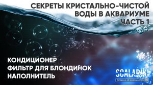 Секреты кристально-чистой воды в аквариуме.