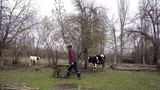 Деревенская еда