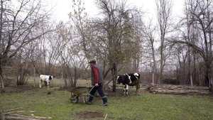 Деревенская еда