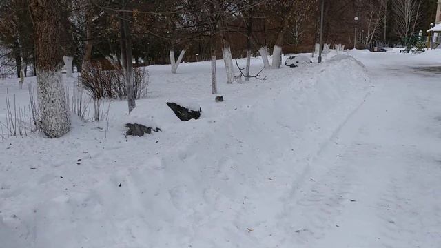 Санаторий профилакторий 