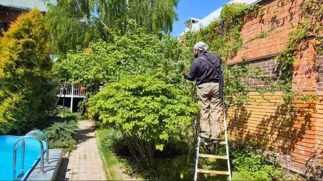 Декоративная Обрезка Сада смотреть онлайн