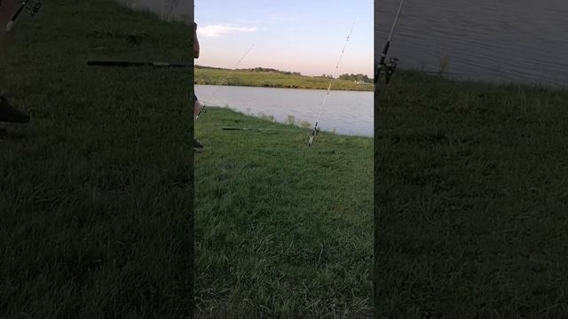 Май 2021 рыбалка пруд Степной НСО