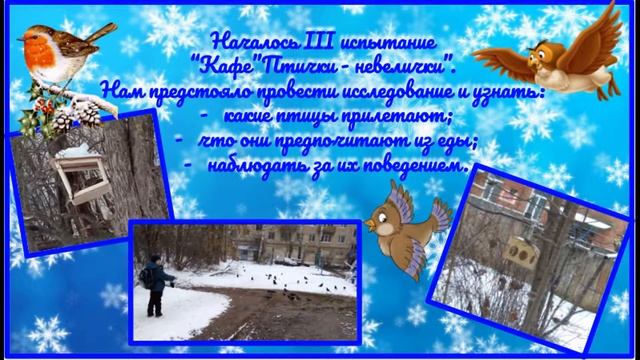 Зимняя сказка "Путешествие в страну зимующих птиц нашего края" смотреть онлайн