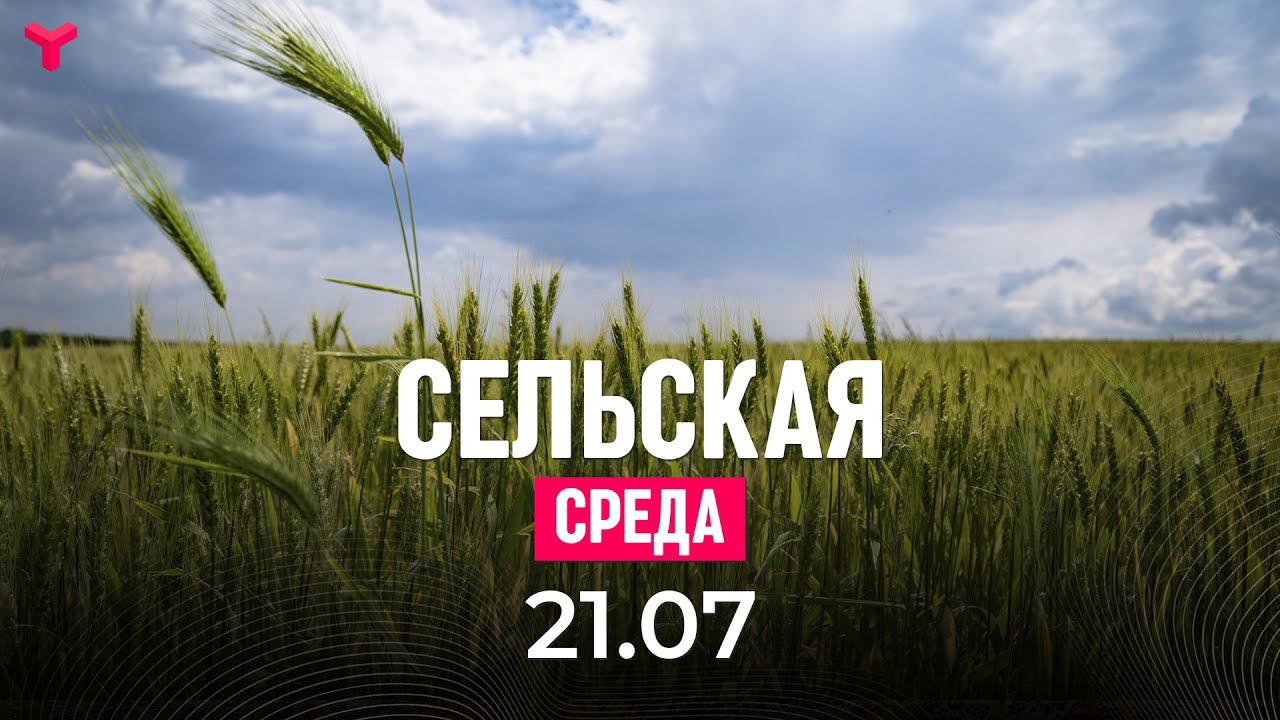 Программа сельская 2023. Сельская среда.