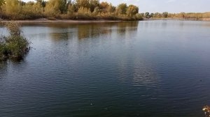 Рыбалка на Ахтубе в октябре! Попытка ухватить сазана за хвост!