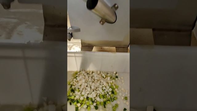 Great Helper in the kitchen, multi-function vegetable cutter