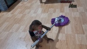 Abu's busy morning || Abu helps his mother clean the house