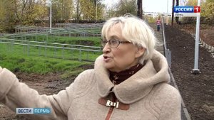 «Лестница-чудесница» связала микрорайоны Владимирский и Юбилейный