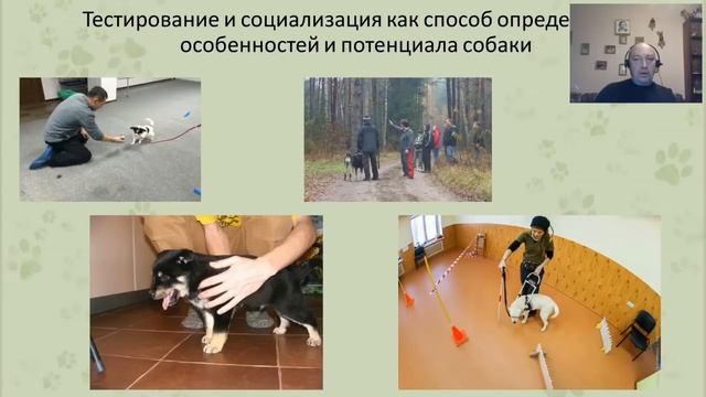 «Ответственный подход к приобретению собаки". Вебинар Цигельницкого Е.Г.
