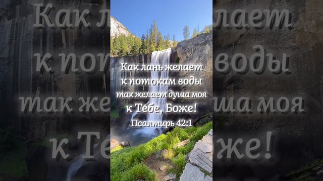 💧🦌 Псалтирь‬ ‭41‬:‭2‬ ‭Как лань желает к потокам воды, так желает душа моя к Тебе, Боже!