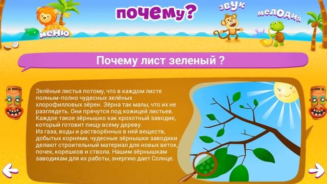 Почему лист зеленый? .◕‿◕.